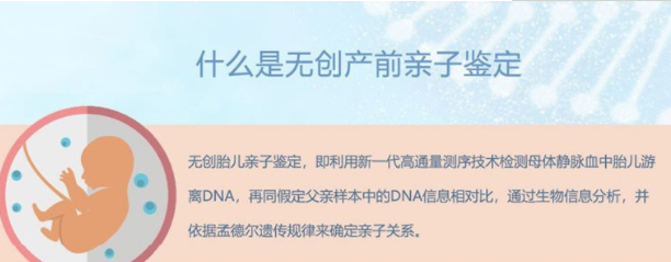 怀孕几个月怀化如何做孕期亲子鉴定,在怀化怀孕期间办理亲子鉴定结果准确吗